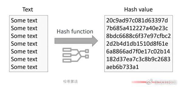 494949免费开奖大全,广泛的解释落实方法分析_策略版14.502