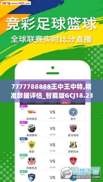 王中王72396网站,广泛解析方法评估_视频版52.911