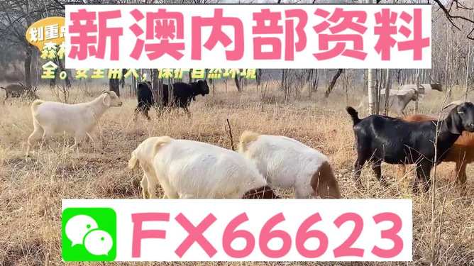 第522页